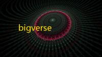 bigverse